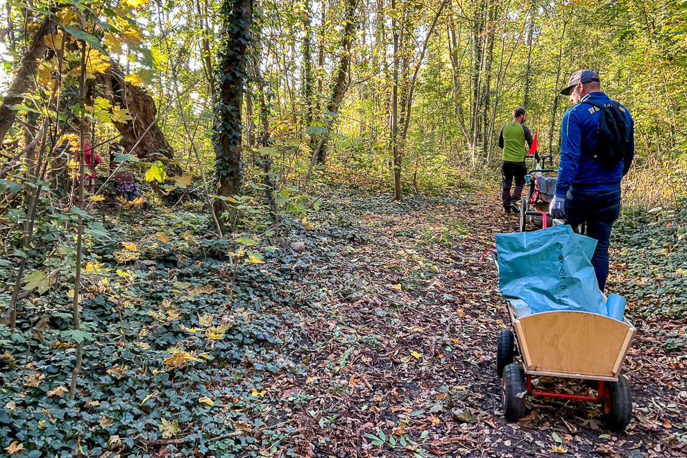 Meldung Drk Kv Leipzig Land E V